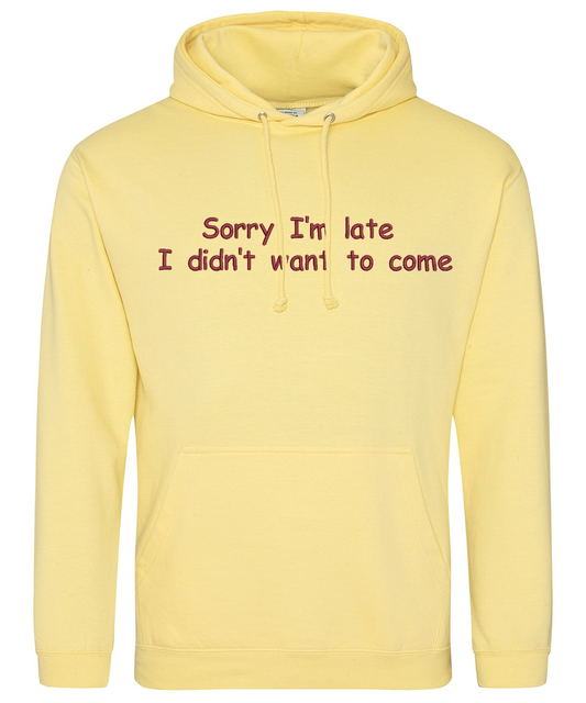 Hoodie - Sorry I'm late, I didn't want to come