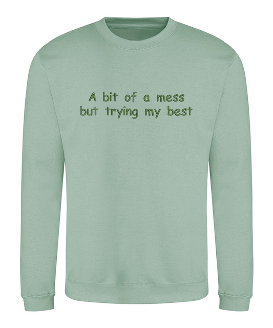 Sweatshirt - A bit of a mess but trying my best