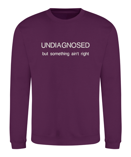 Sweatshirt - Undiagnosed, but something ain't right